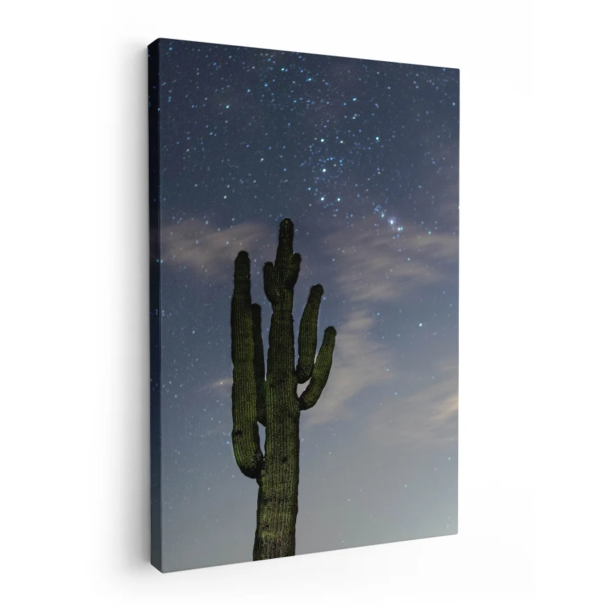 Saguaro al Atardecer Poster