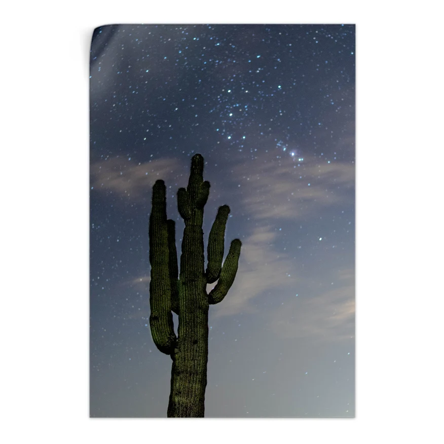 Saguaro al Atardecer Poster