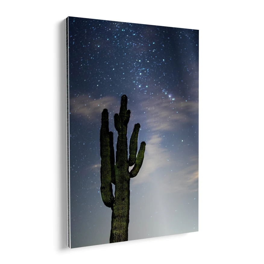 Saguaro al Atardecer Poster