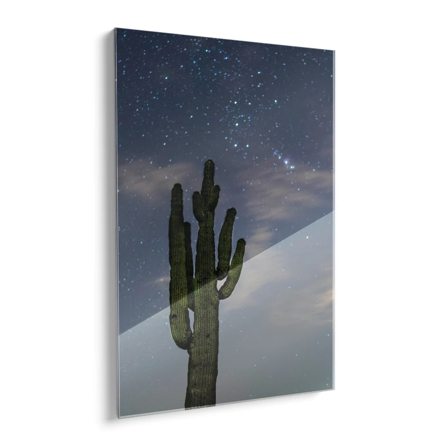 Saguaro al Atardecer Poster