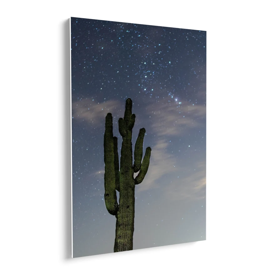 Saguaro al Atardecer Poster