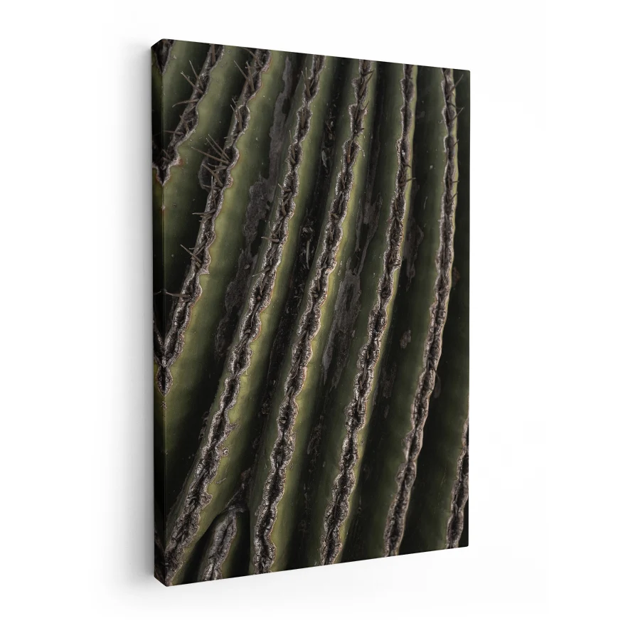 Saguaro Poster