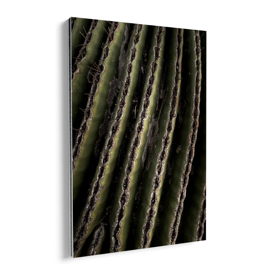 Saguaro Poster