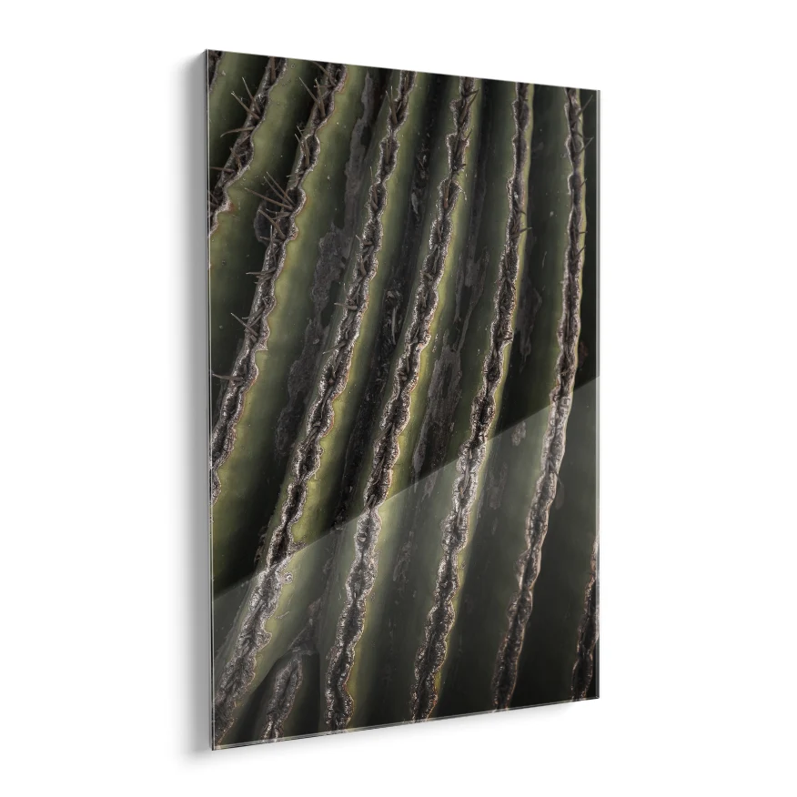 Saguaro Poster