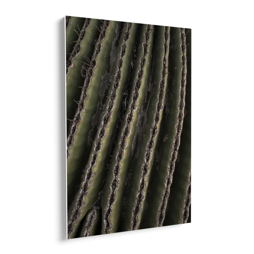 Saguaro Poster
