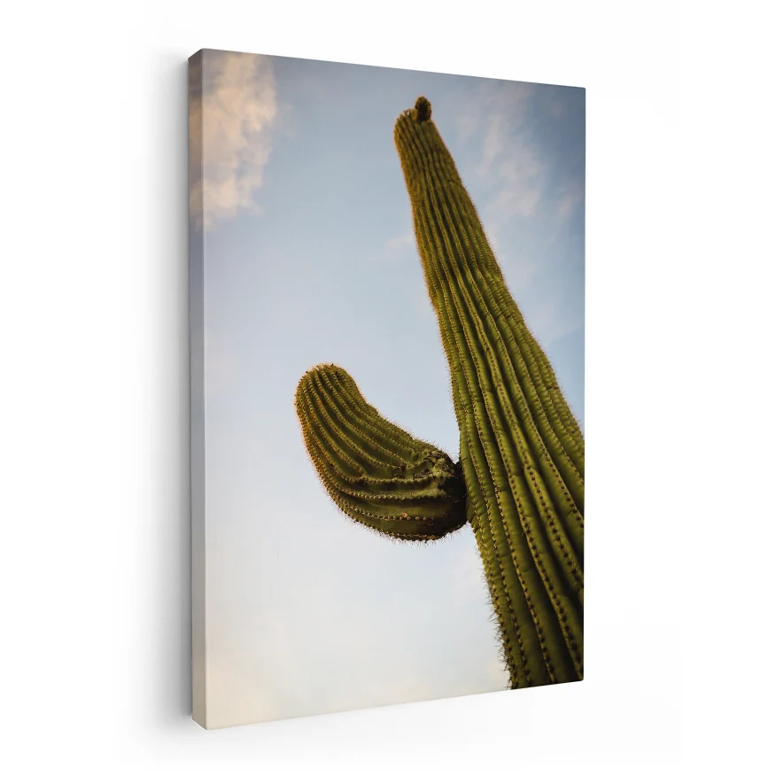 Saguaro Poster