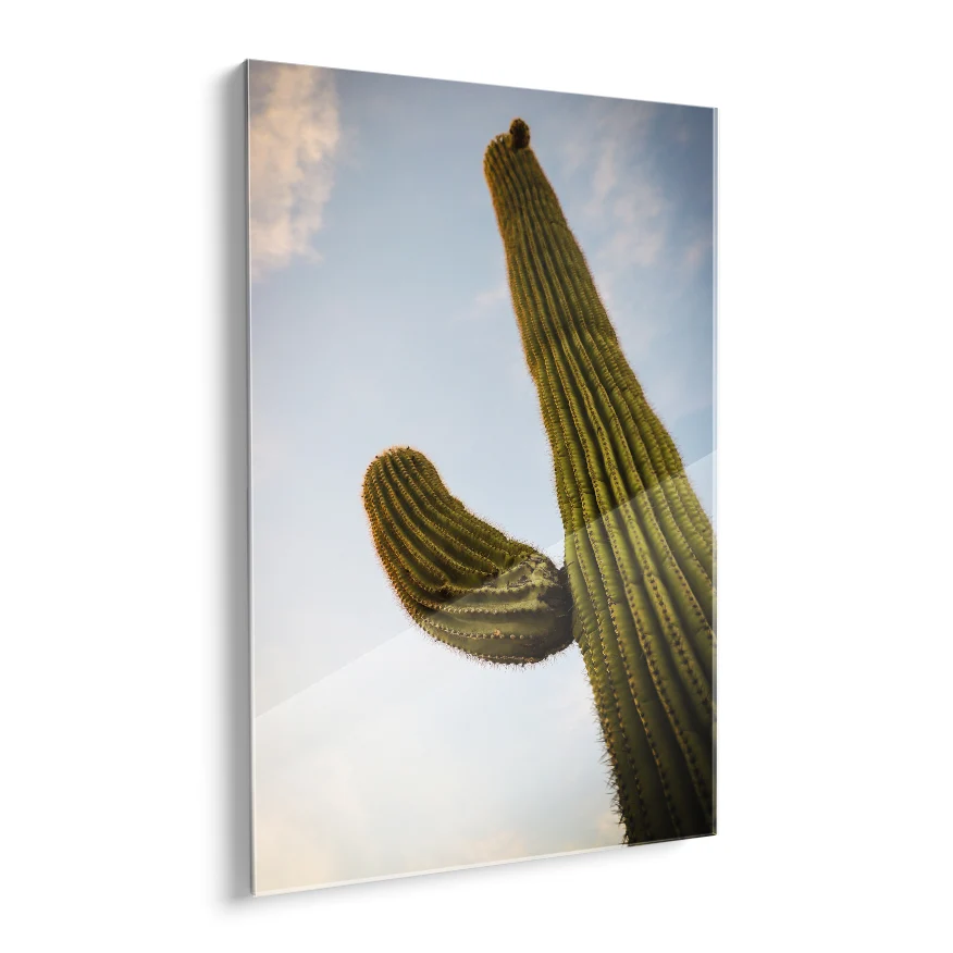 Saguaro Poster