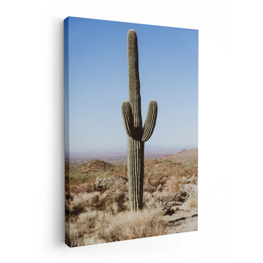 Saguaro Poster