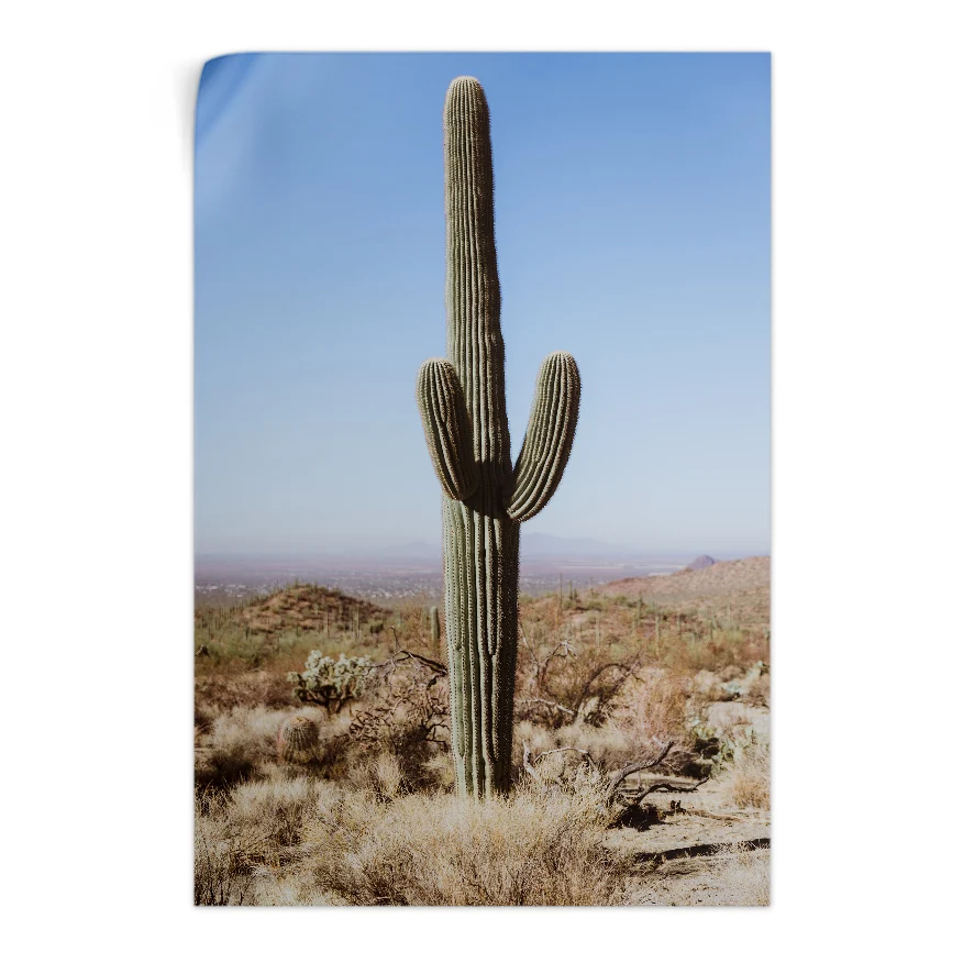 Saguaro Poster