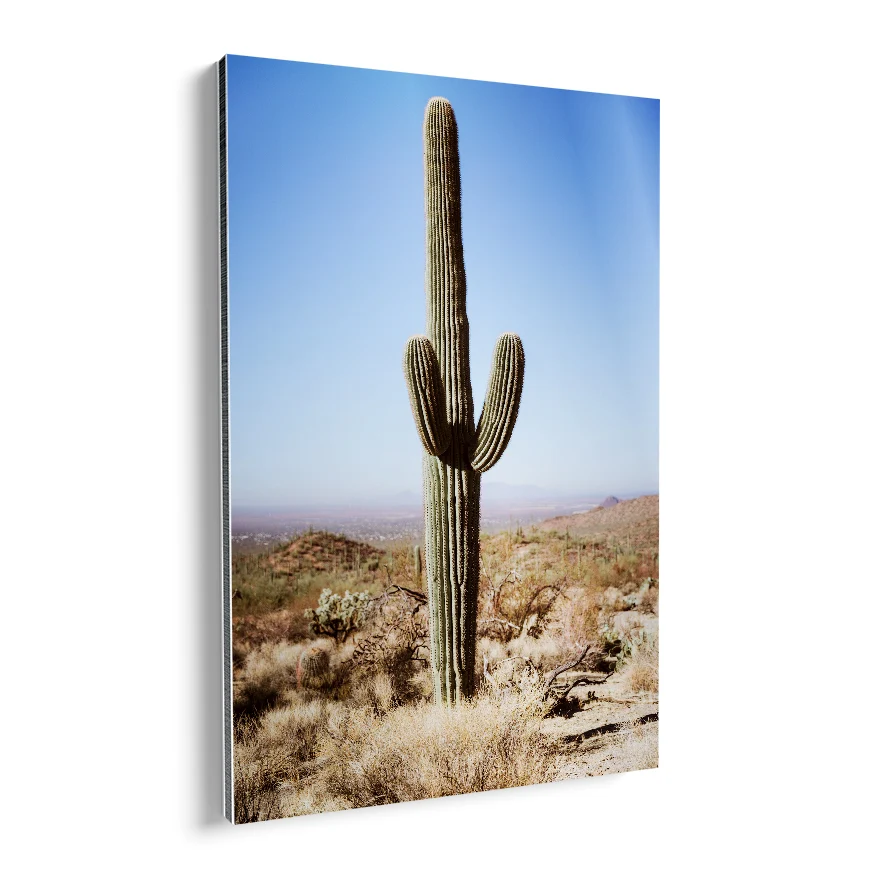 Saguaro Poster