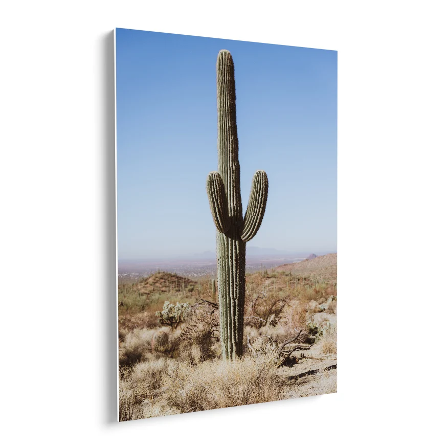 Saguaro Poster