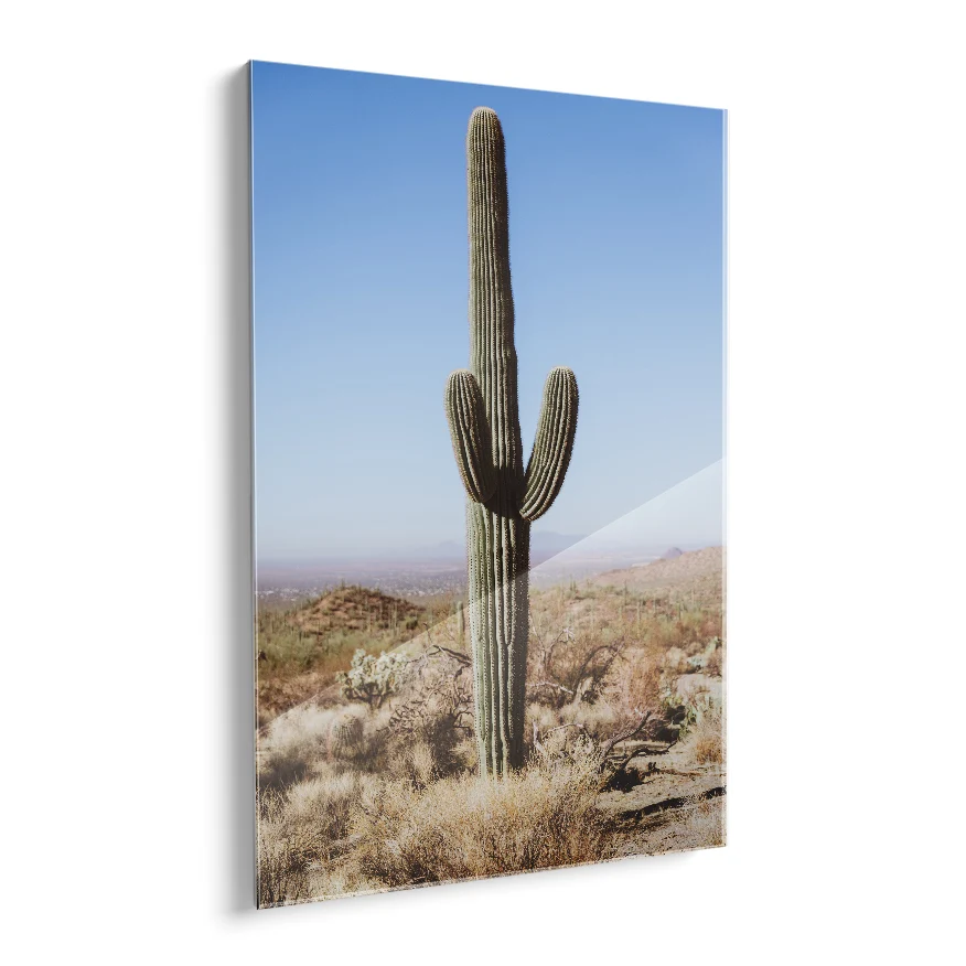 Saguaro Poster