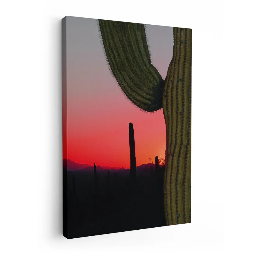 Saguaro Poster