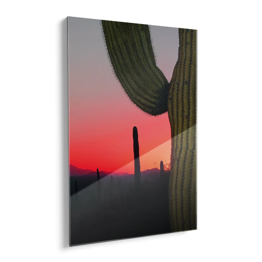 Saguaro Poster