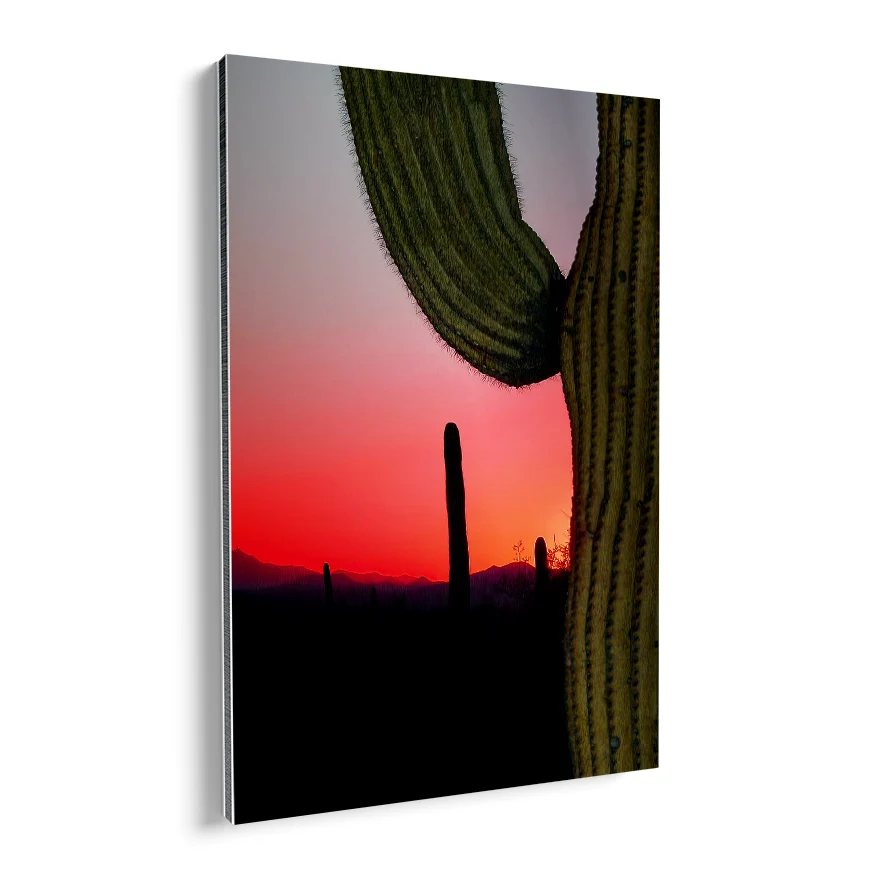 Saguaro Poster
