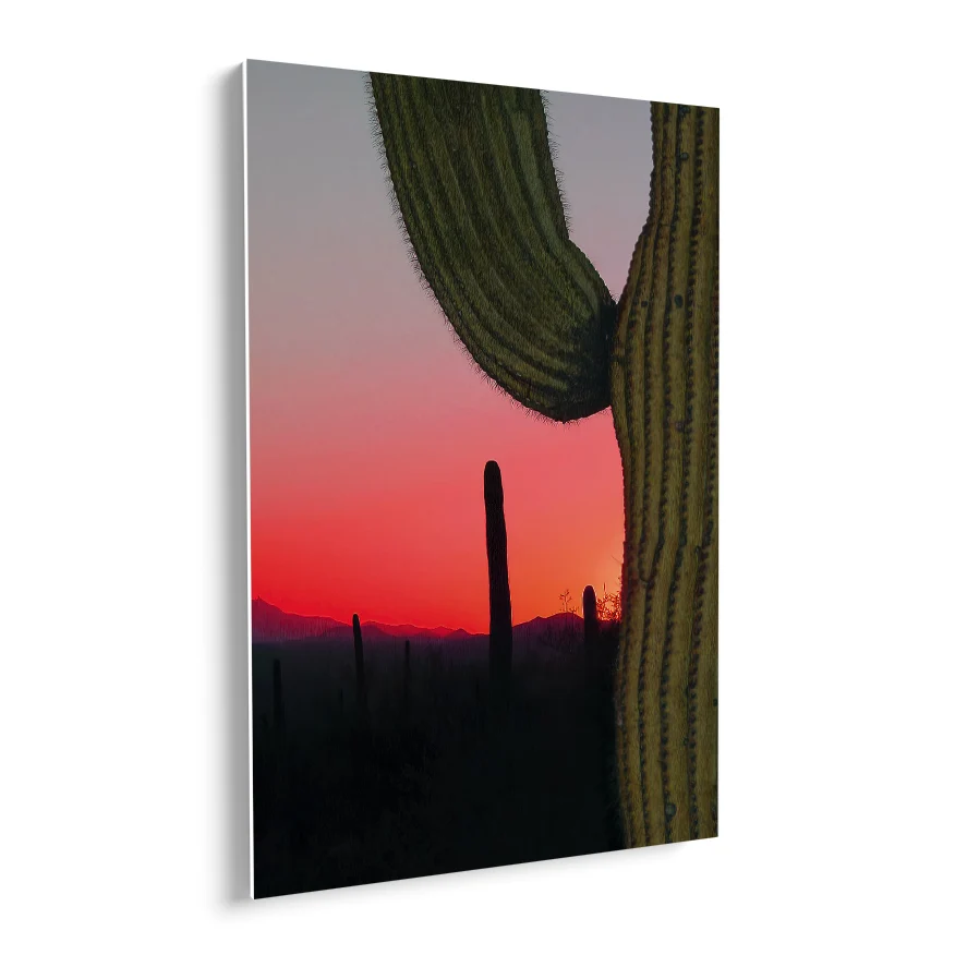 Saguaro Poster