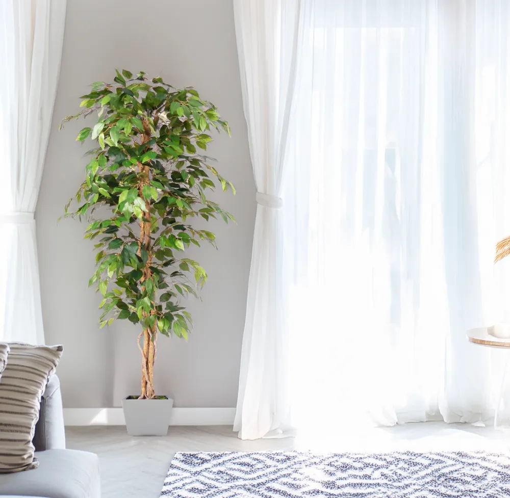Árbol Ficus – 180 cm Sinder