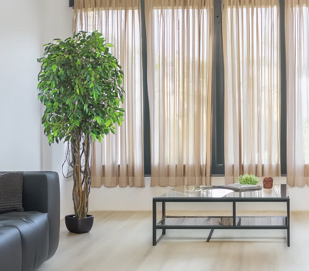 Árbol Ficus Mini – Tronco Natural – 180 cm Sinder