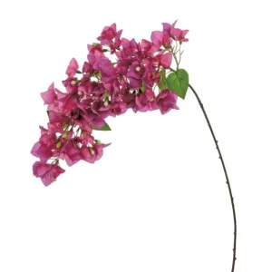 SL BUGANVILIA 40"