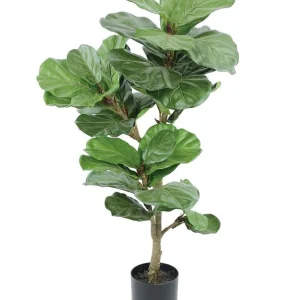 SL PANDURATA PLANT/POT 56"