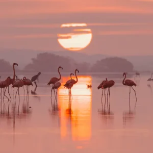 Amanecer en Yucatán Studio Malek