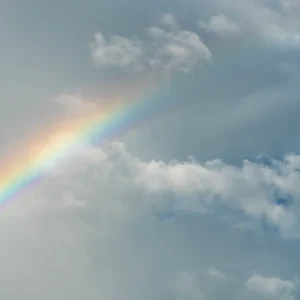 Arco Iris Studio Malek