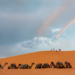 Camels and Rainbows Studio Malek
