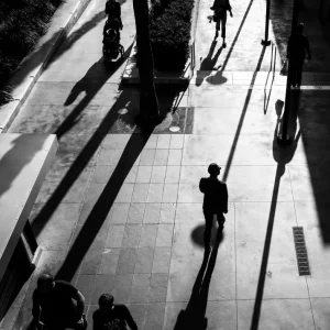 HOLLYWOOD SHADOWS Studio Malek