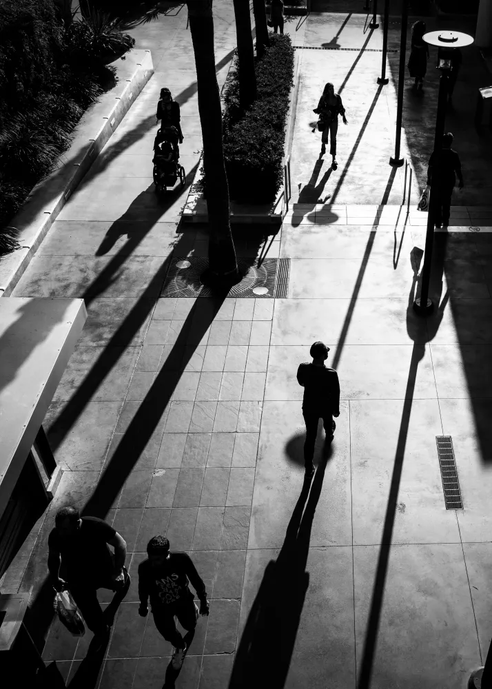 HOLLYWOOD SHADOWS Studio Malek