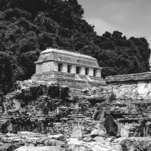 Palenque Studio Malek