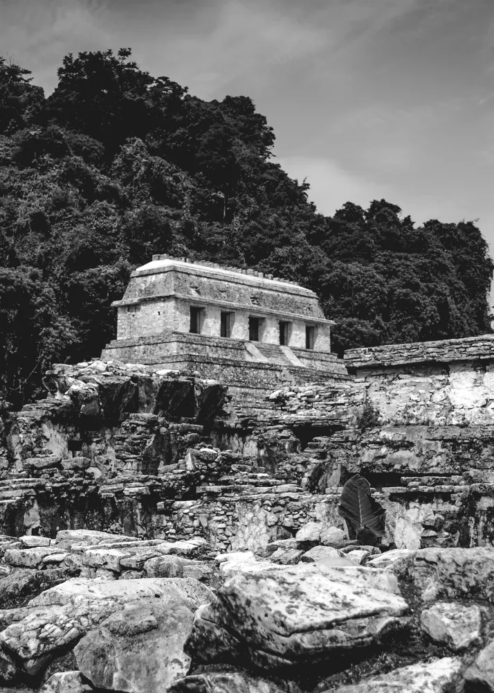 Palenque Studio Malek
