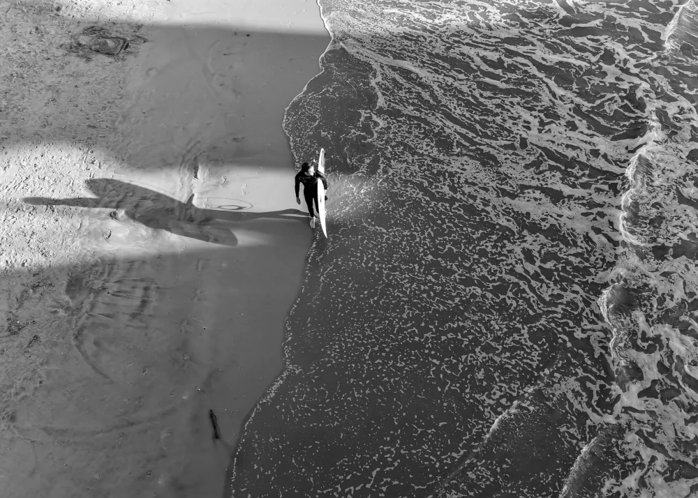 Surfer LA Studio Malek