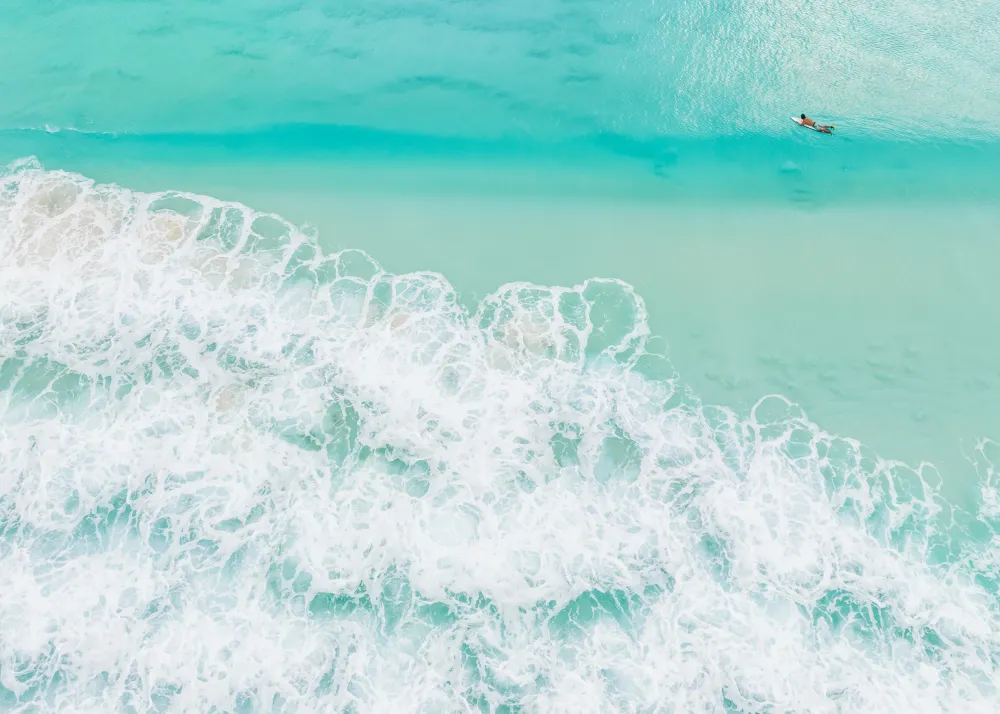 Surfer and Waves Studio Malek