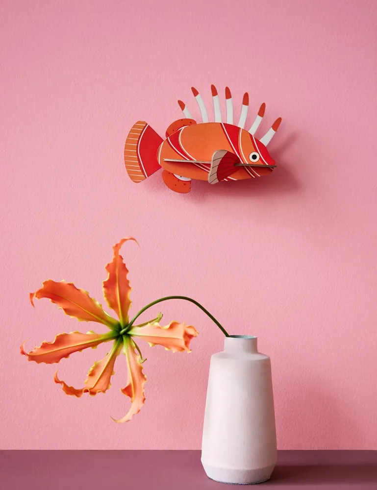 lionfish Studio Roof