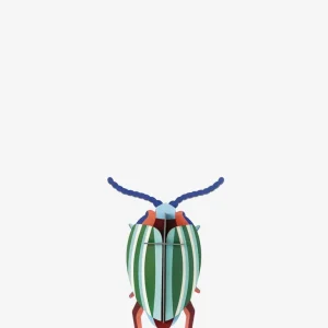 rainbow leaf beetle Studio Roof