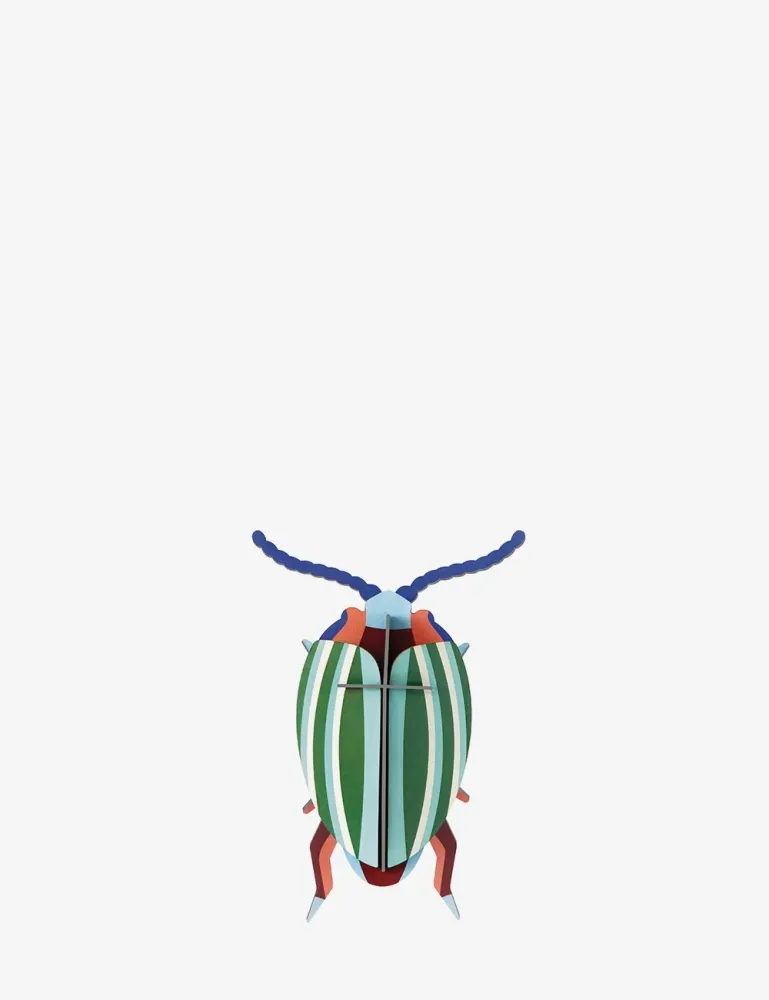 rainbow leaf beetle Studio Roof