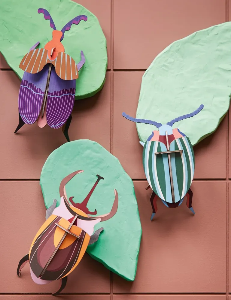 rainbow leaf beetle Studio Roof