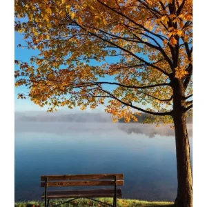 AUTUMN studiomalek