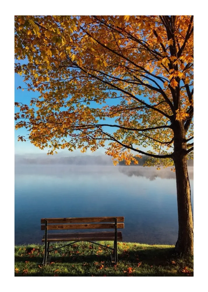 AUTUMN studiomalek