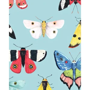 BAILE DE MARIPOSAS studiomalek