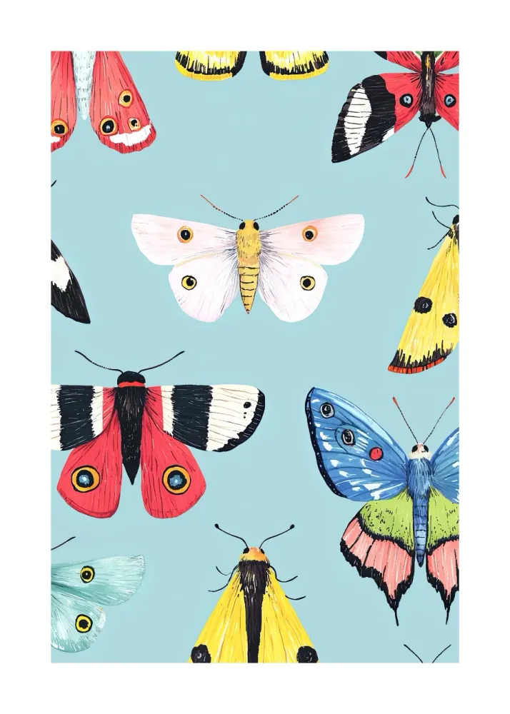 BAILE DE MARIPOSAS studiomalek