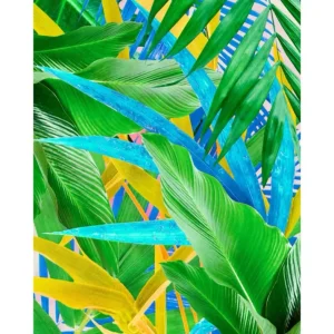 BLUE FOREST studiomalek