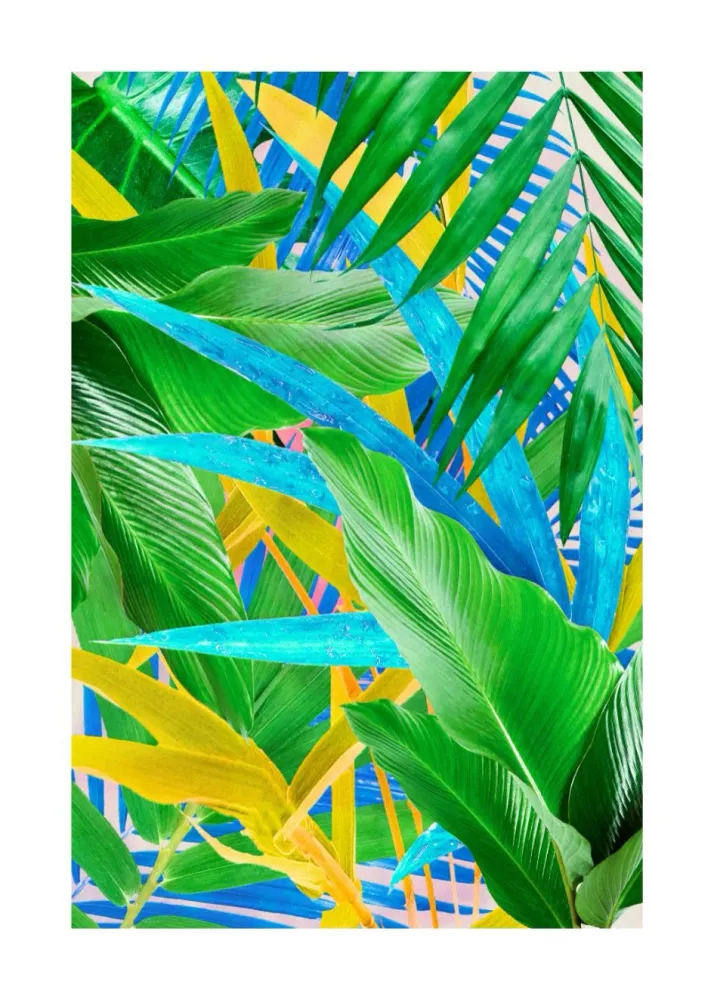 BLUE FOREST studiomalek