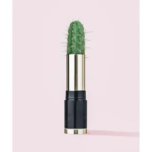 CACTUS LIPSTICK studiomalek