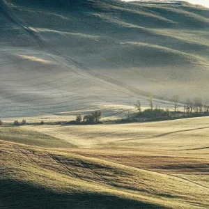 CAMPO studiomalek