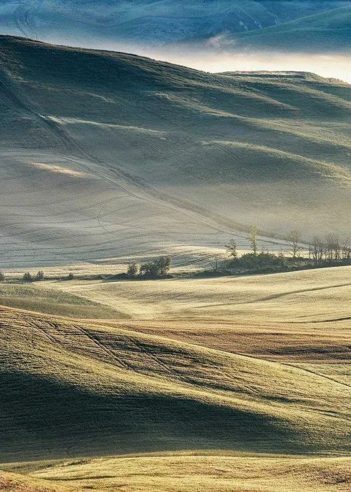 CAMPO studiomalek