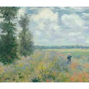 CAMPOS DE AMAPOLAS studiomalek