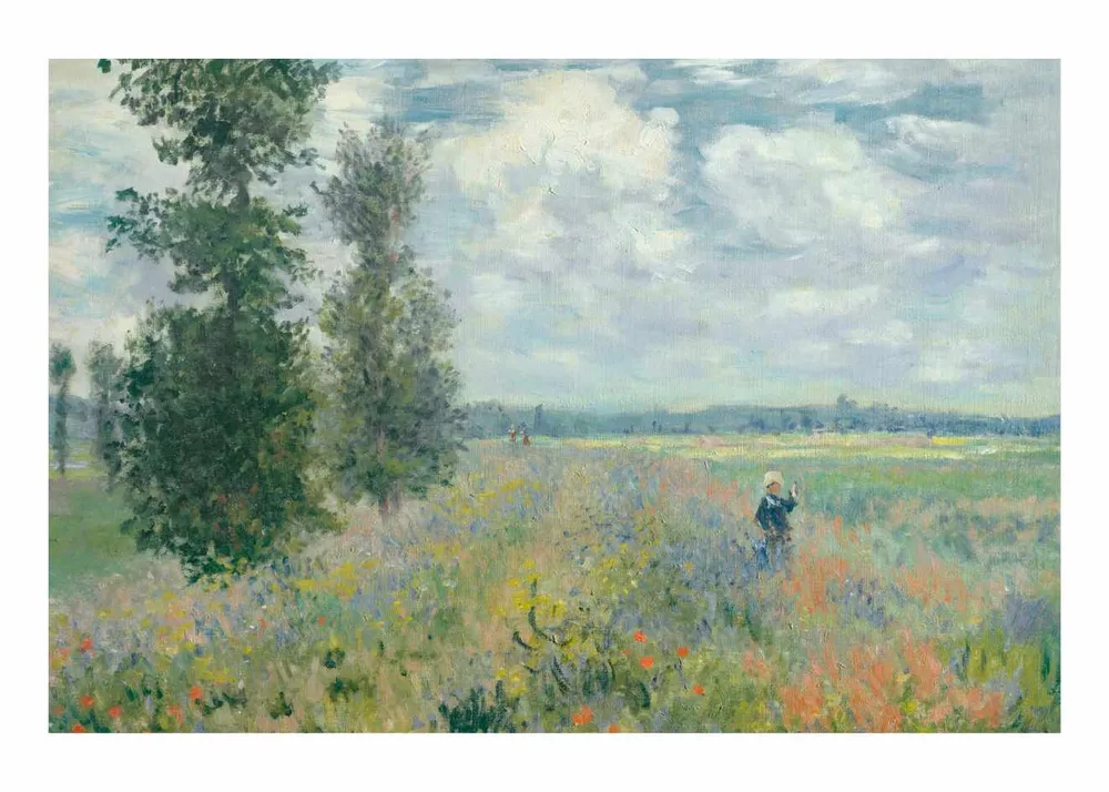 CAMPOS DE AMAPOLAS studiomalek