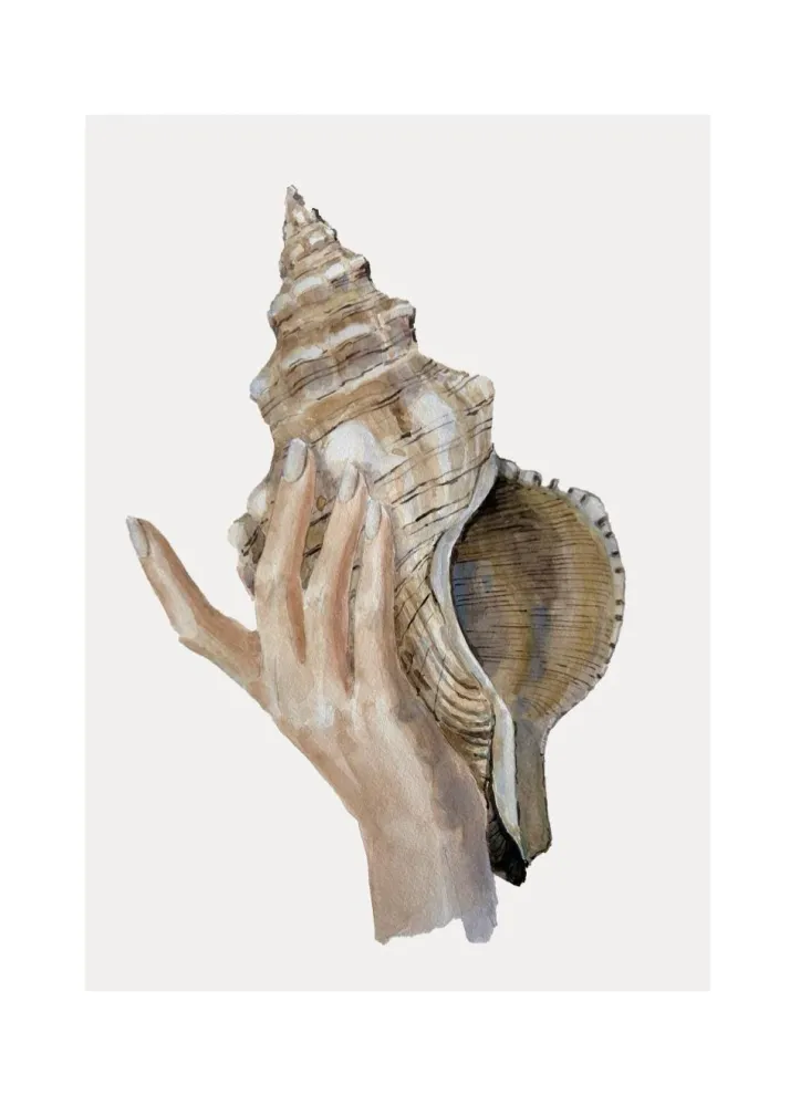 CARACOLA studiomalek