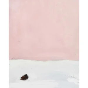 CENIZA Y ROSA studiomalek